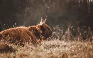 Jak Zapnout Nahrávání Hovorů Samsung